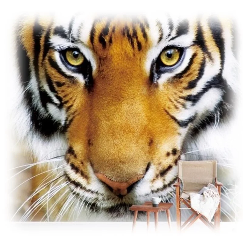 RTYUIHN 3D Wallpaper Tiger Animal Wallpaper
