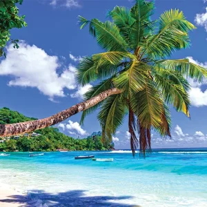 Tropical Azure Coastline Wall Art (36"x 20"/45"x 30")